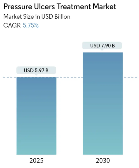 Pressure Ulcers Treatment Market Summary